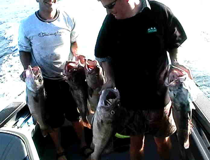 Grouper Fishing with Grant and Torren